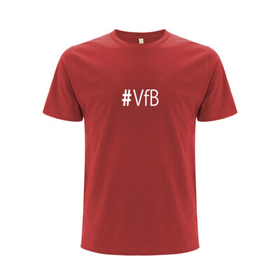 Stuttgart Shirt “VFB”